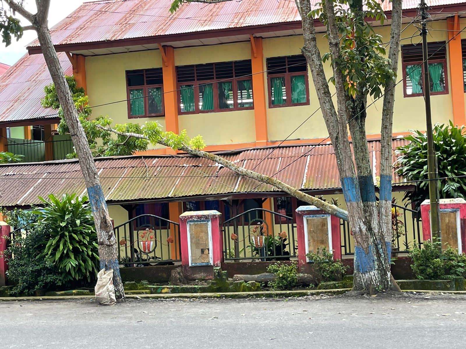 Sudah Mengkuatirkan, Warga Keluhkan Pohon di Depan SMP N 1 Kotamobagu