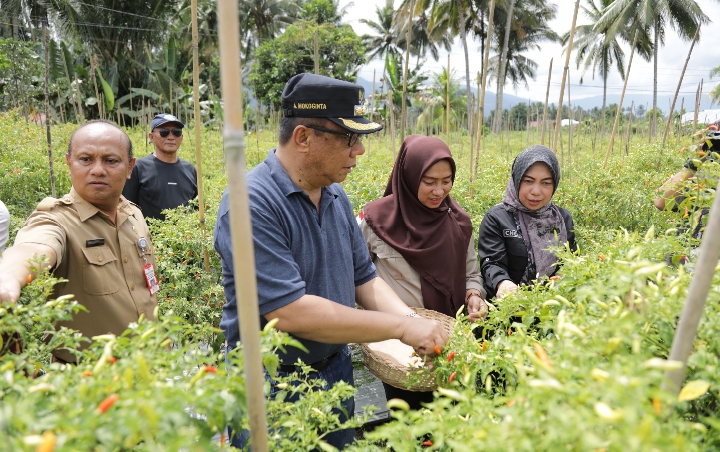 Abdullah pantau Ketersediaan Produksi Pangan di kotamobagu