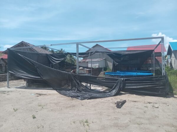 Program Ketahanan Pangan di Desa Pinolosian Selatan Diduga Gagal