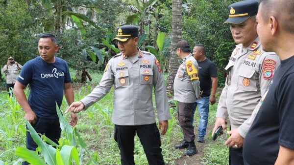 Dukung Petani Lokal, Kapolres AKBP Irwanto Sambangi Petani Jagung di Desa Sia Sulawesi Utara