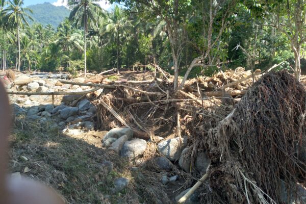 Ternyata Ada PETI di Perkebunan Hulu Sungai Muntoi