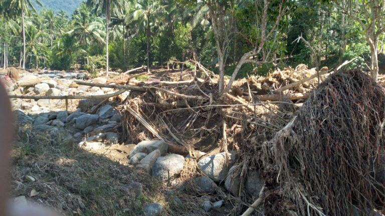 Ternyata Ada PETI di Perkebunan Hulu Sungai Muntoi